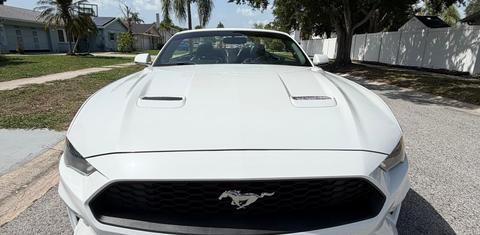 Ford Mustang 2019