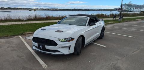 Ford Mustang 2019