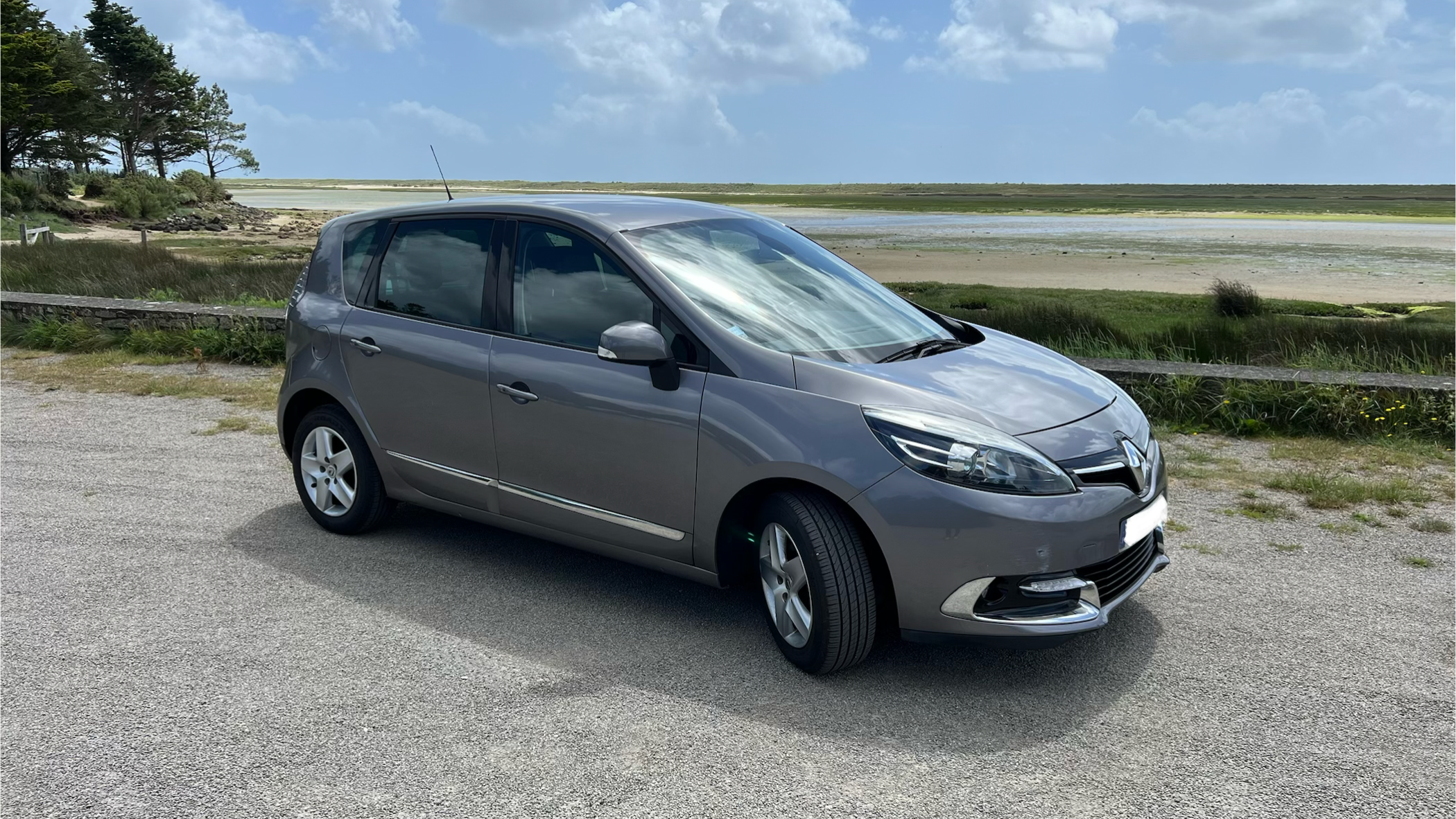 Renault SCENIC III 2016 à Pleuven