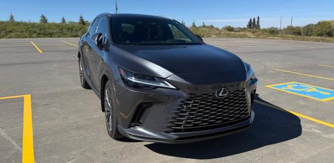 Lexus RX 2025