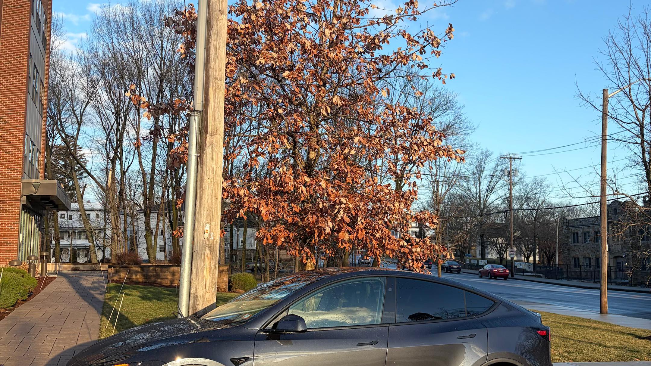 Tesla Model Y 2026 in 