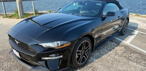 Ford Mustang 2022