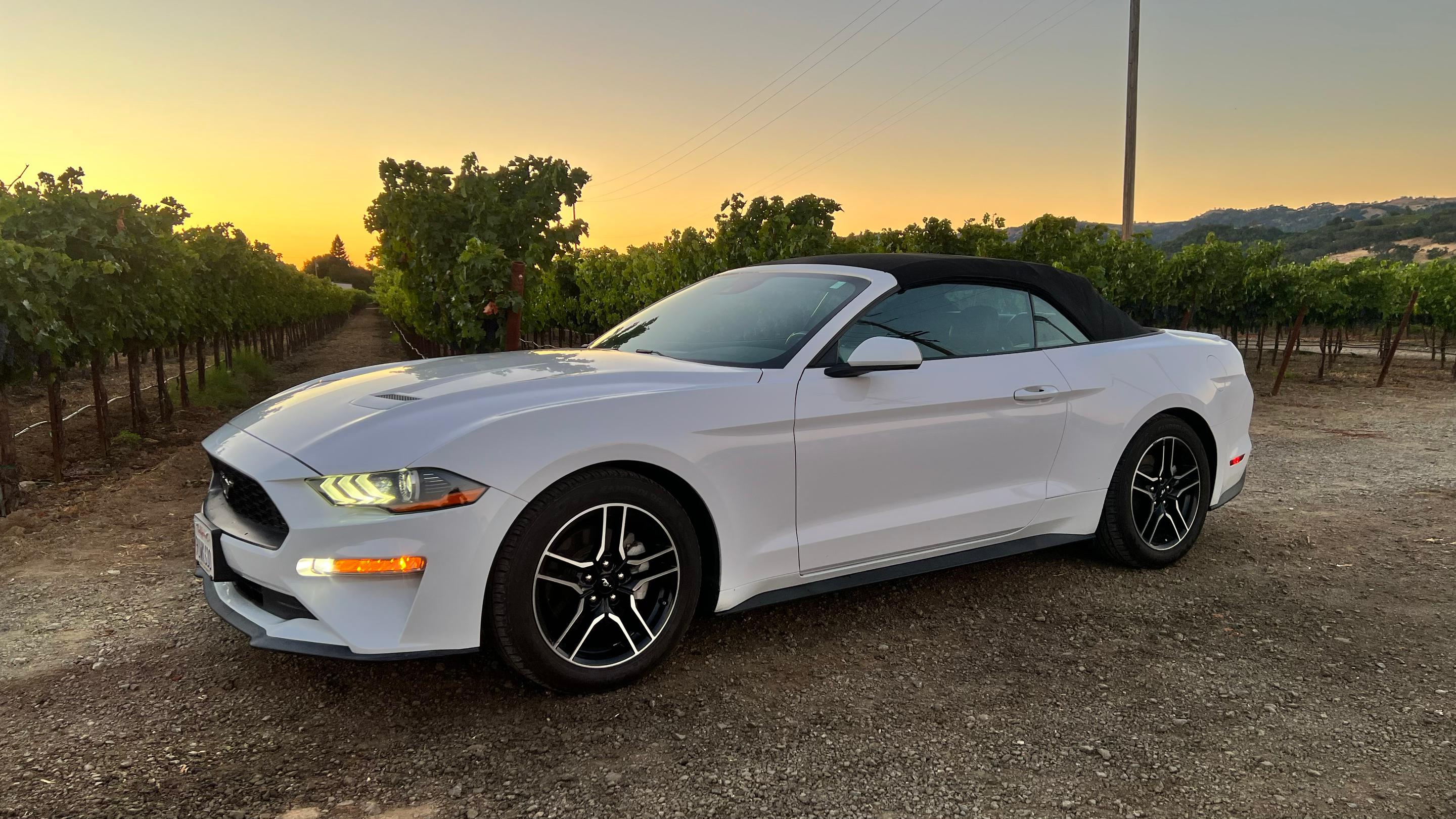 Ford Mustang 2021 in Geyserville, CA