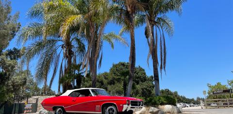 Buick Skylark Custom 1969