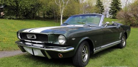Ford Mustang Cobra GT350 clone 1966
