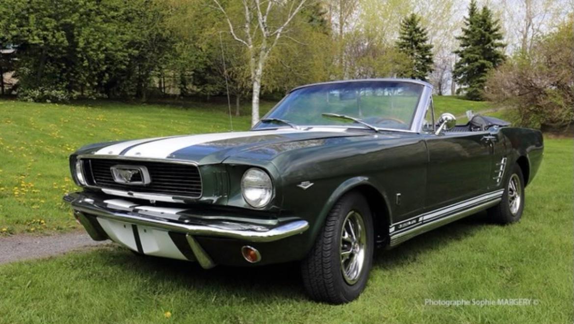 Ford Mustang Cobra GT350 clone 1966 in Montréal, QC