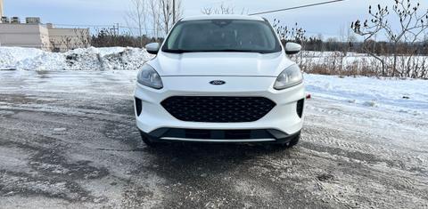Ford Escape 2020