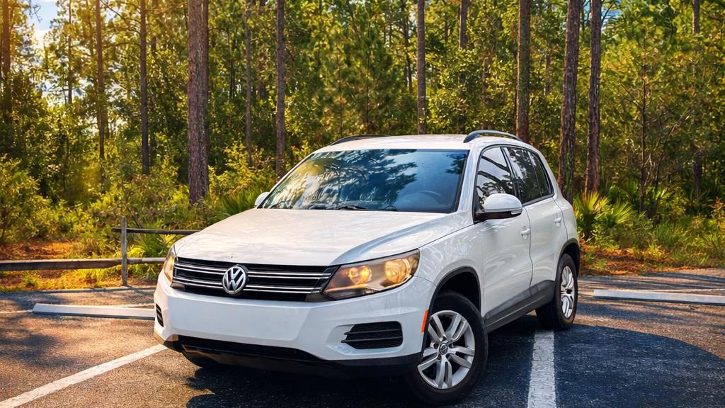 Volkswagen Tiguan Limited 2017 in 