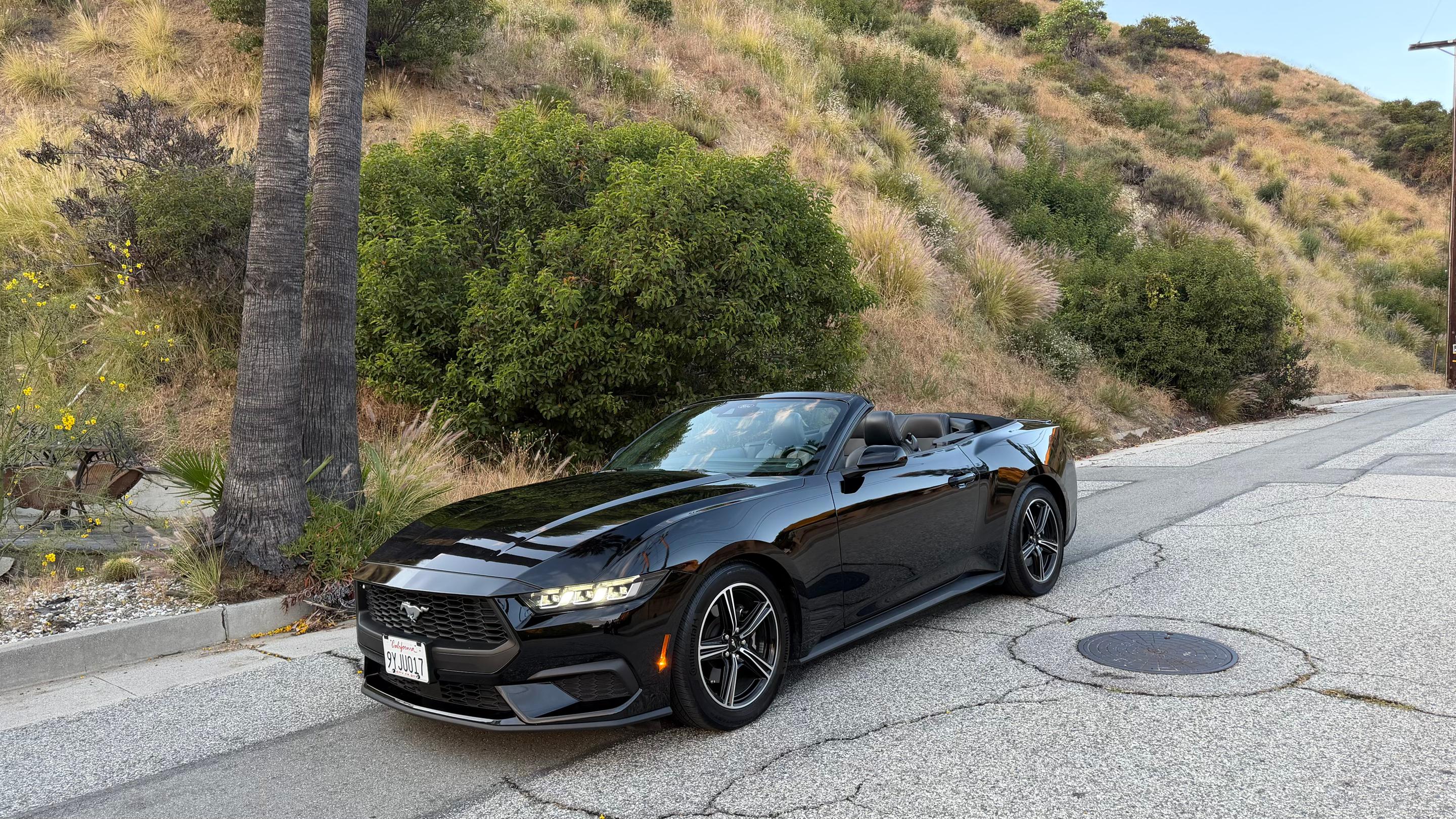 Ford Mustang 2025 in Glendale, CA