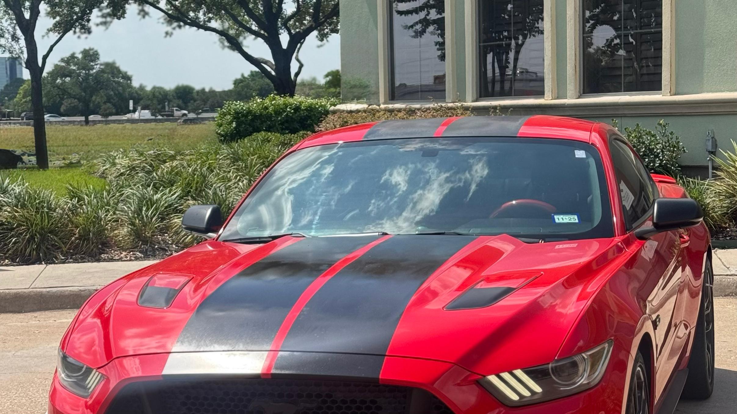 Ford Mustang 2017 rental in Houston, TX by Yelaine A. | Turo