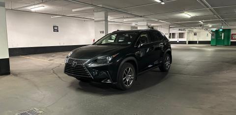 Lexus NX 2021