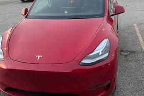 Catégorie de véhicule : Tesla Model Y
