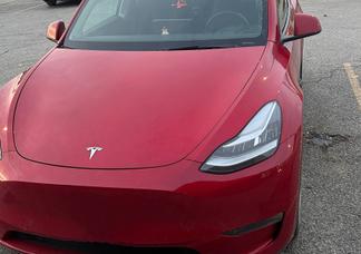 Catégorie de véhicule : Tesla Model Y