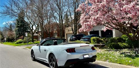 Ford Mustang 2025
