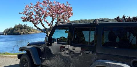 Jeep Wrangler Unlimited 2016