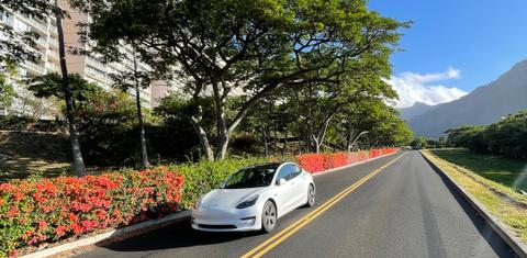 Tesla Model 3 2022