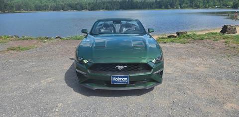 Ford Mustang 2023
