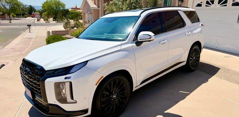 Hyundai Palisade 2024