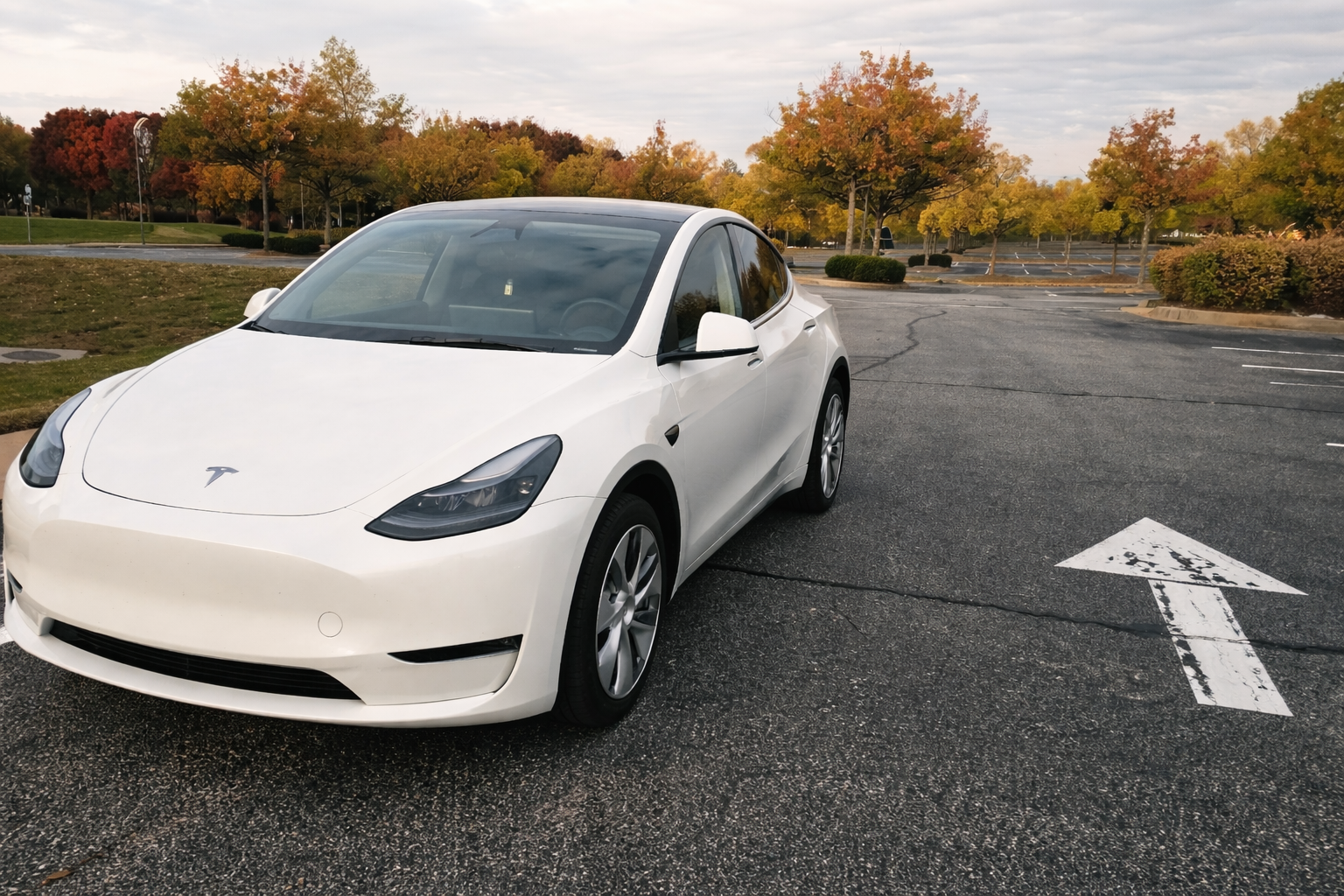 Tesla Model Y 2023 in Simpsonville, SC