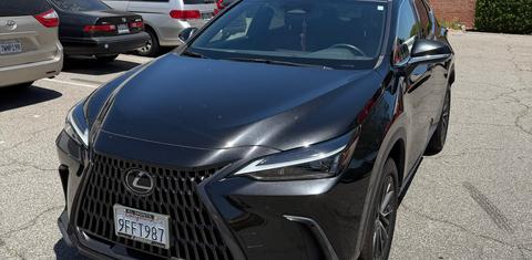 Lexus NX 2023
