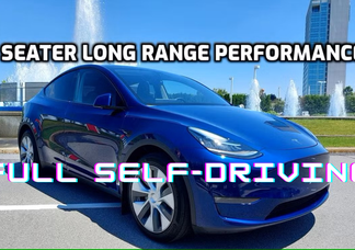 Catégorie de véhicule : Tesla Model Y