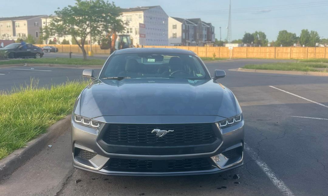 Ford Mustang 2024 rental in Manassas - Fm76 rent a car dulles airport