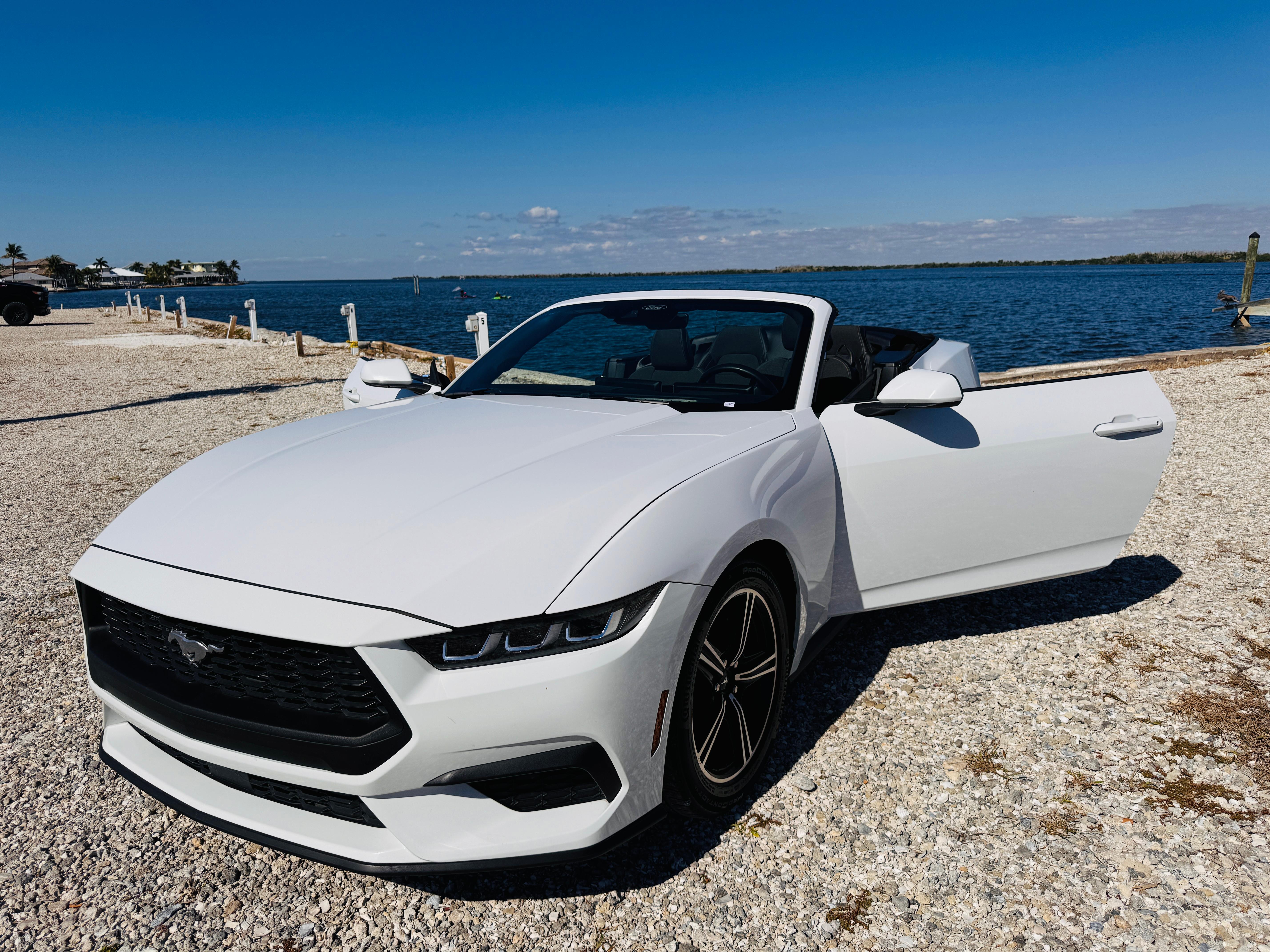 Ford Mustang 2024 in North Fort Myers, FL