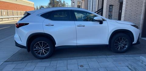 Lexus NX 2022