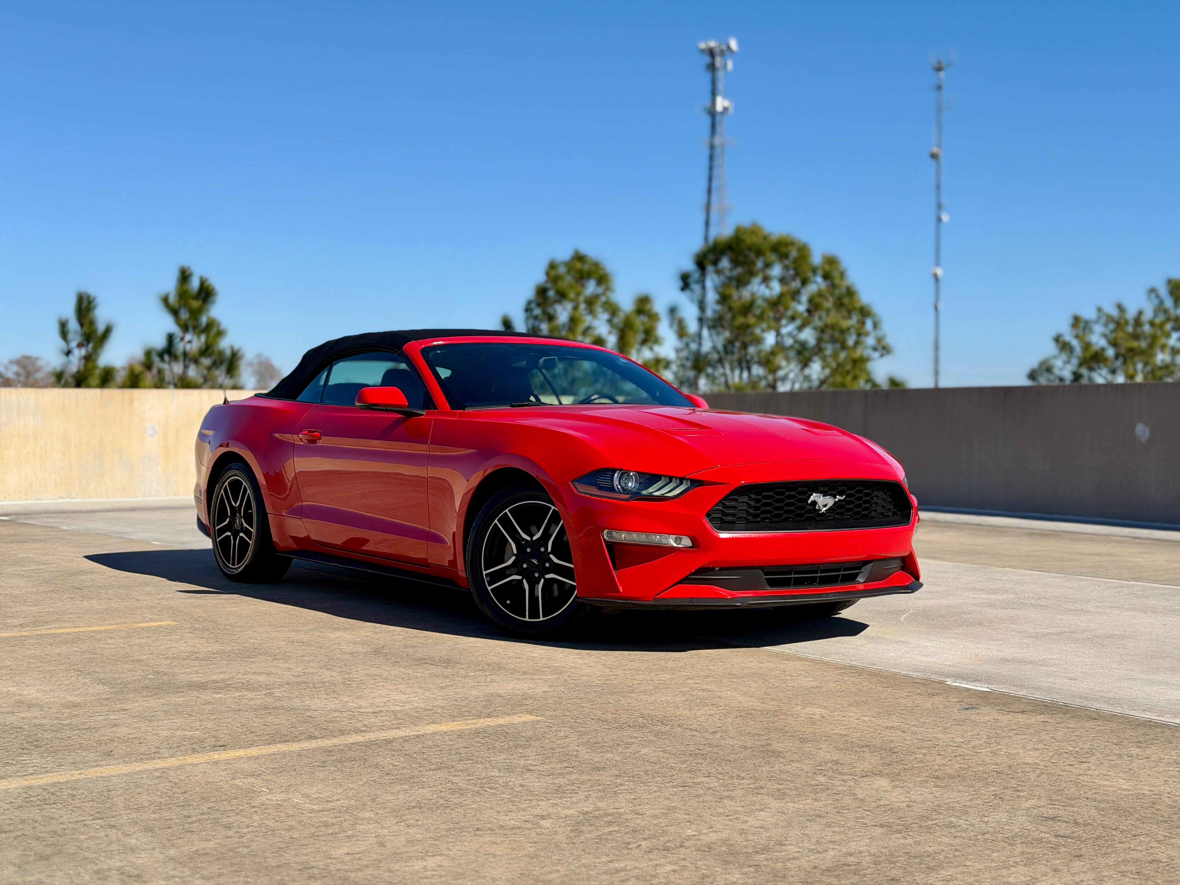 Ford Mustang 2019 in Winter Garden, FL