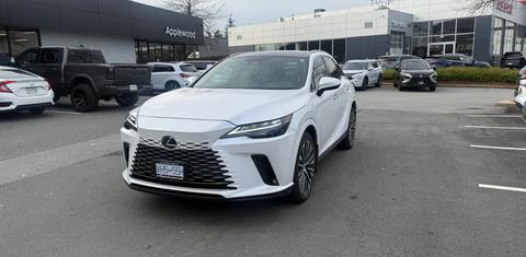 Lexus RX 2023