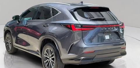 Lexus NX 2025