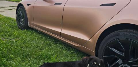 Tesla Model S 2026
