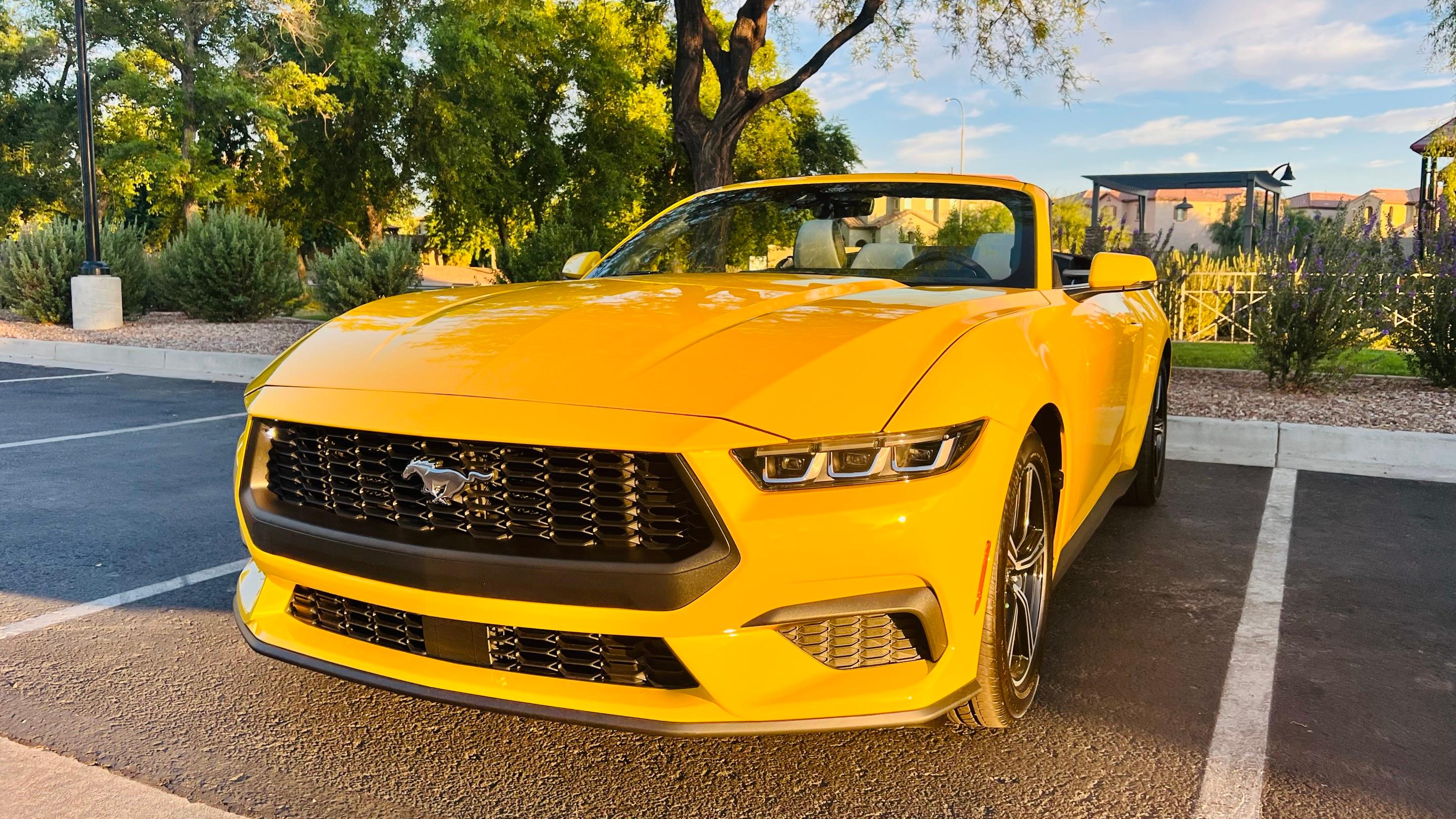 Ford Mustang 2024 in Chandler, AZ
