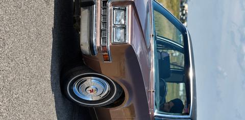 Dodge Diplomat 1987