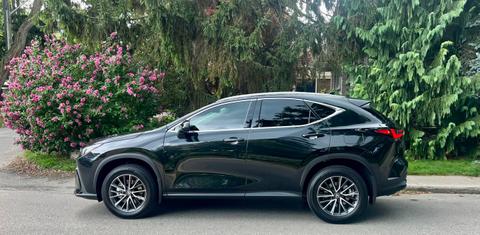 Lexus NX 2025