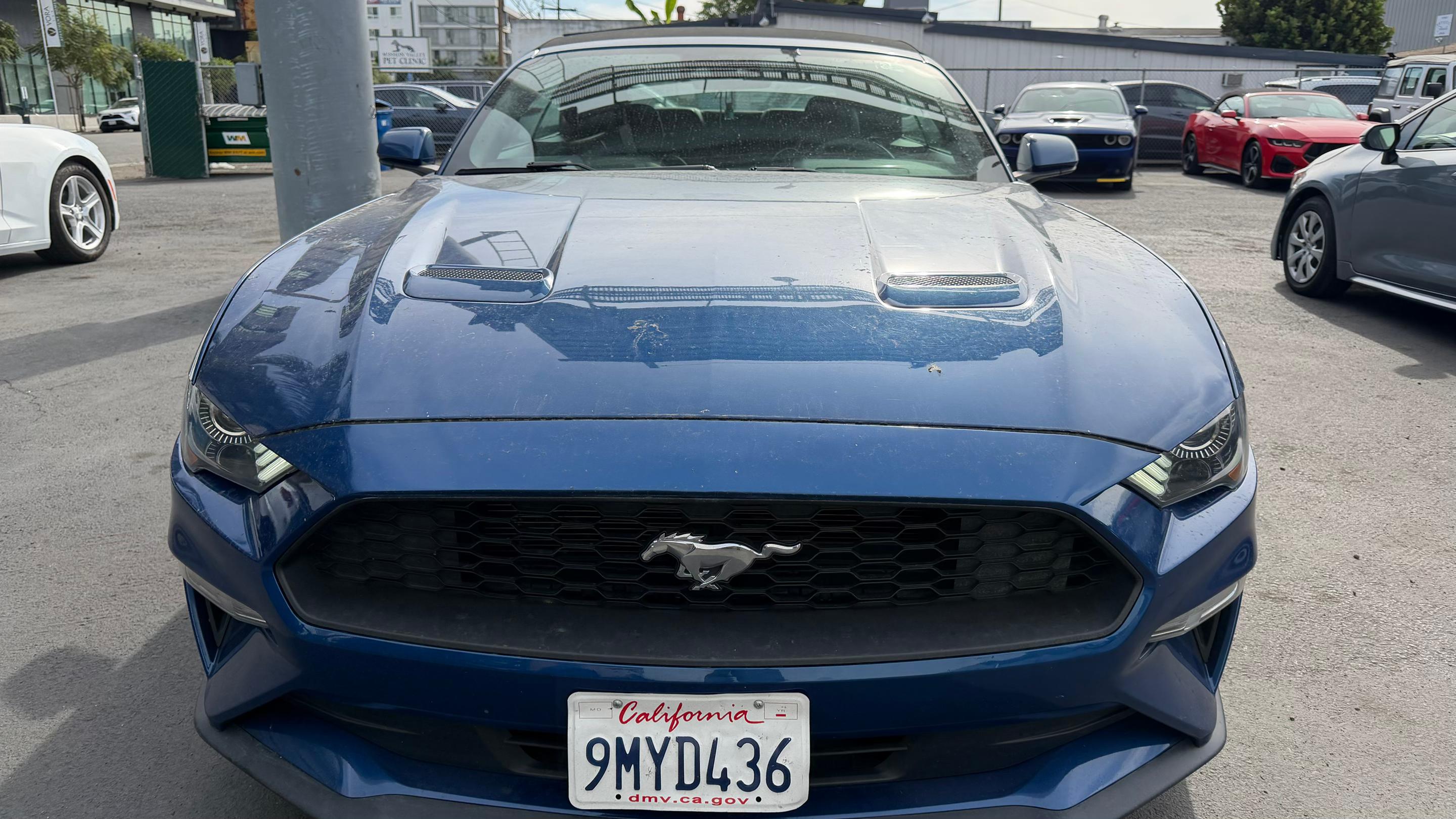Ford Mustang 2022 in 