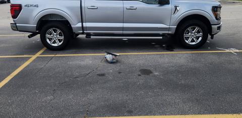 Ford F-150 2024