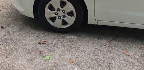 Kia Forte 2018