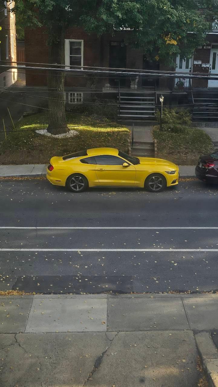 Ford Mustang 2017 à Waterloo, ON