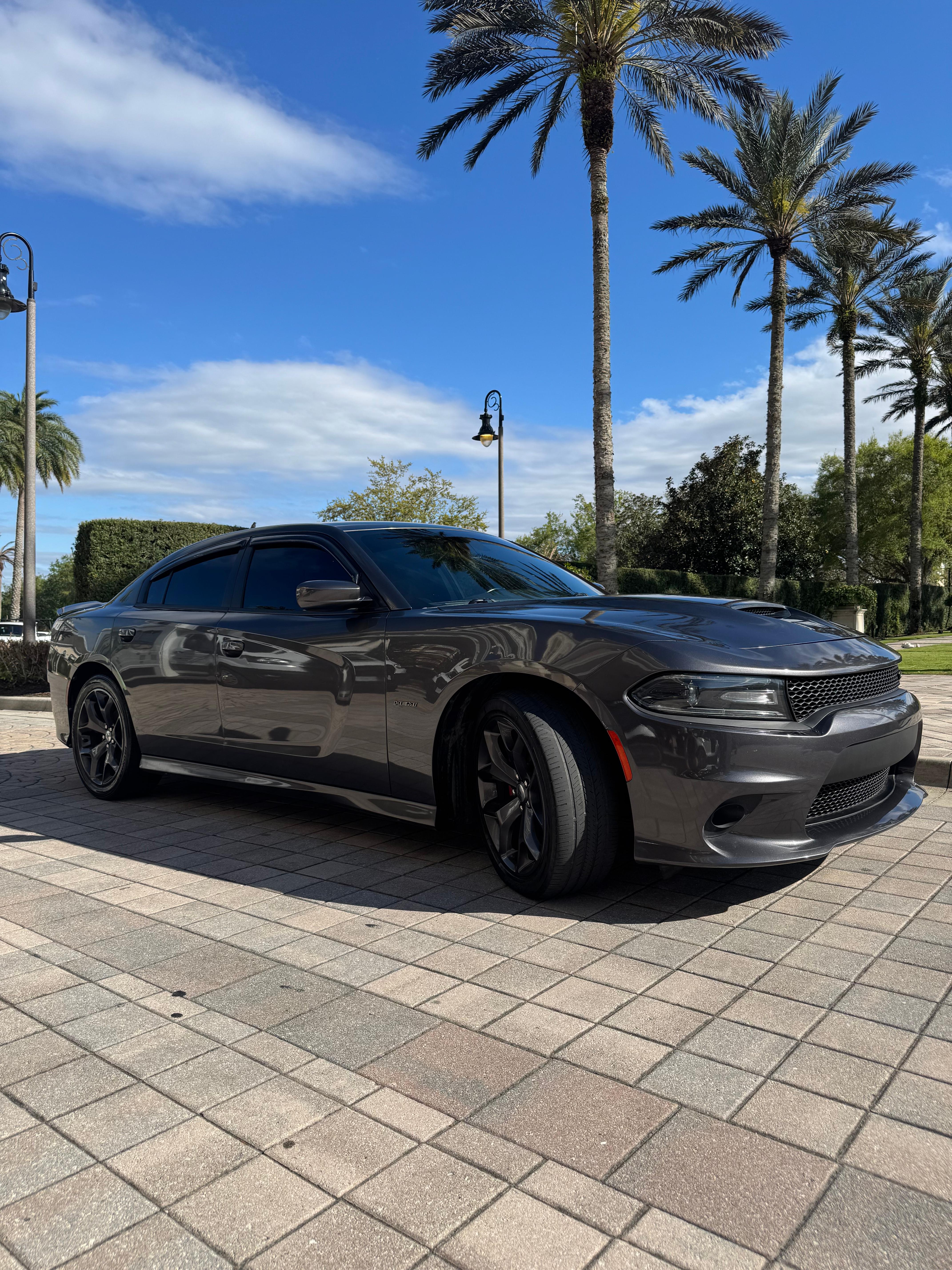 Dodge Charger 2019 in 