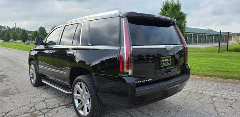 Cadillac Escalade 2016