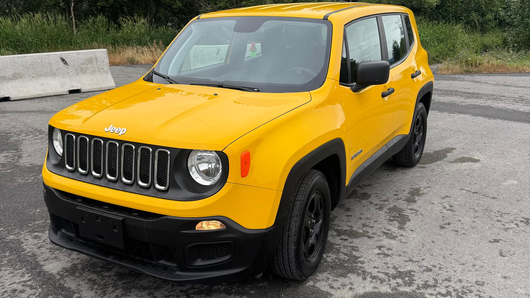 Jeep Renegade 2018 in 