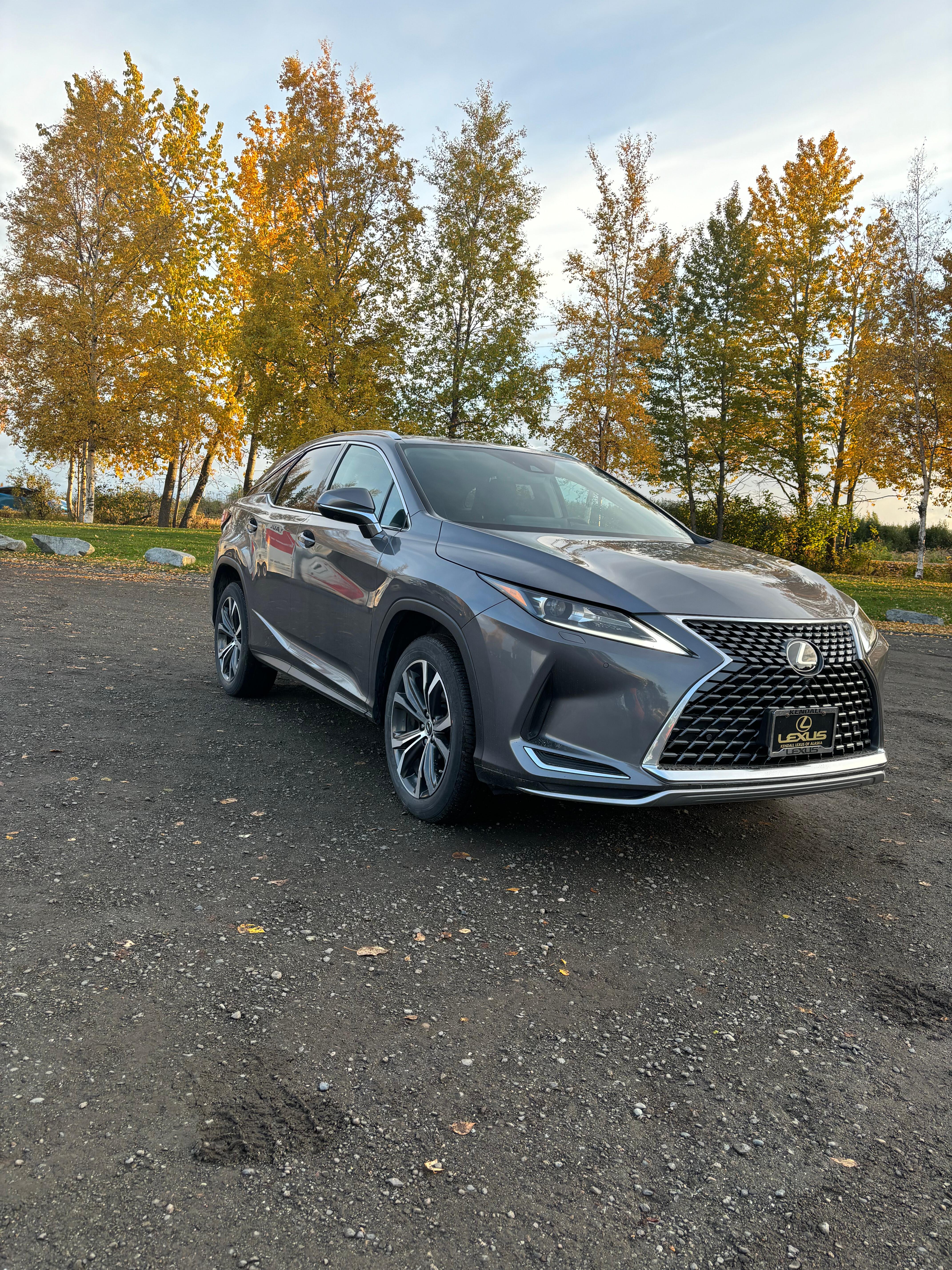 Lexus RX 2022 in Anchorage, AK
