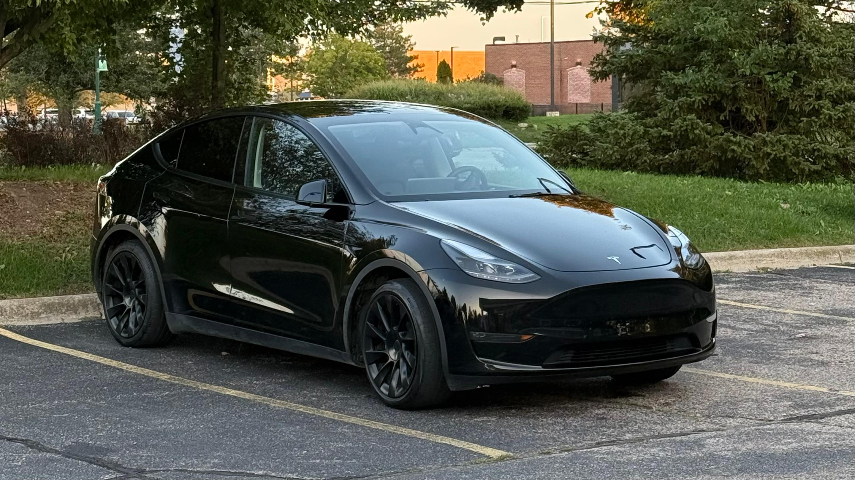 Tesla Model Y 2024 in Canton Township, MI