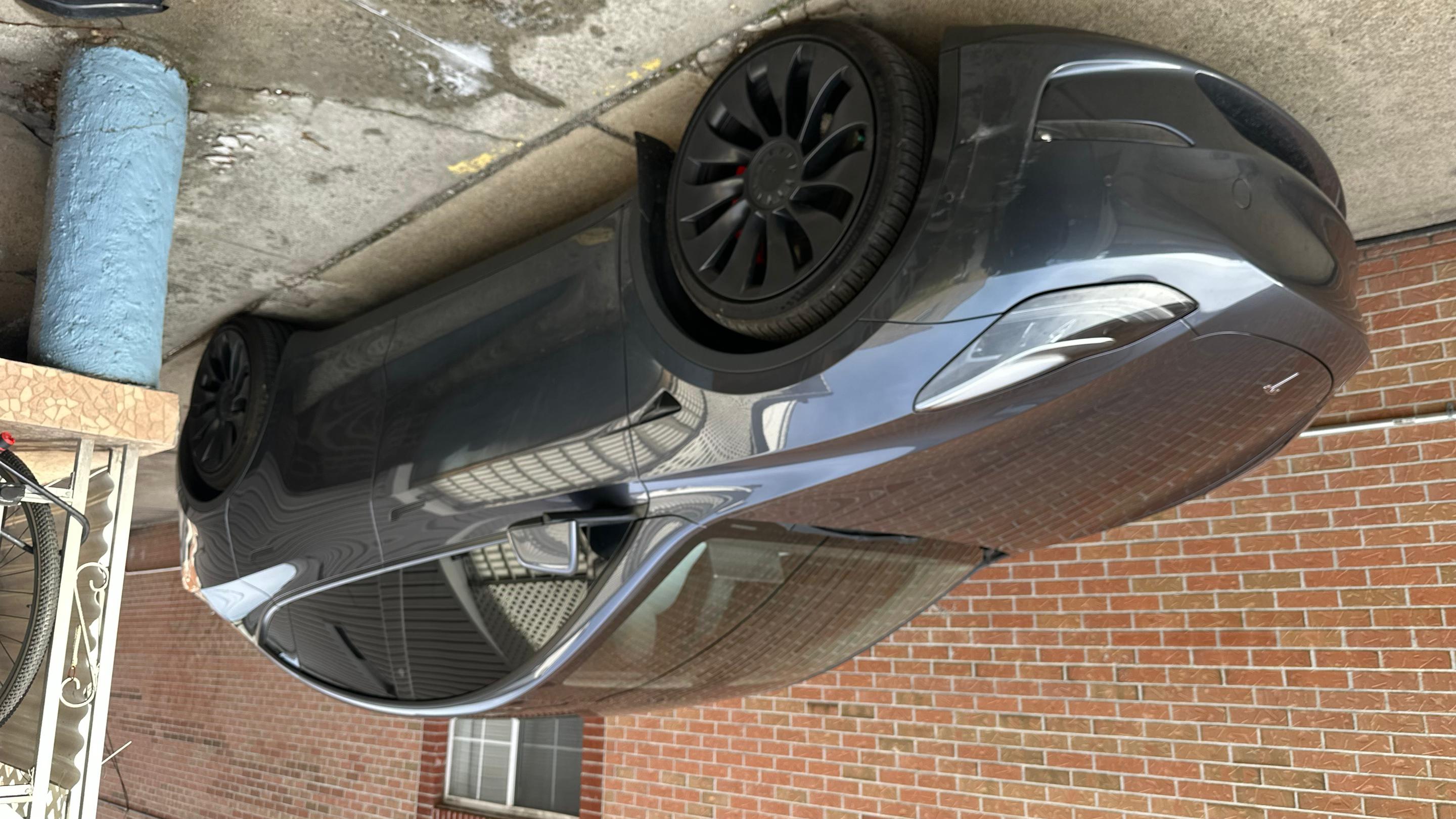 Tesla Model Y 2022 in Hempstead, NY