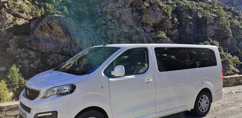 Peugeot TRAVELLER 2019