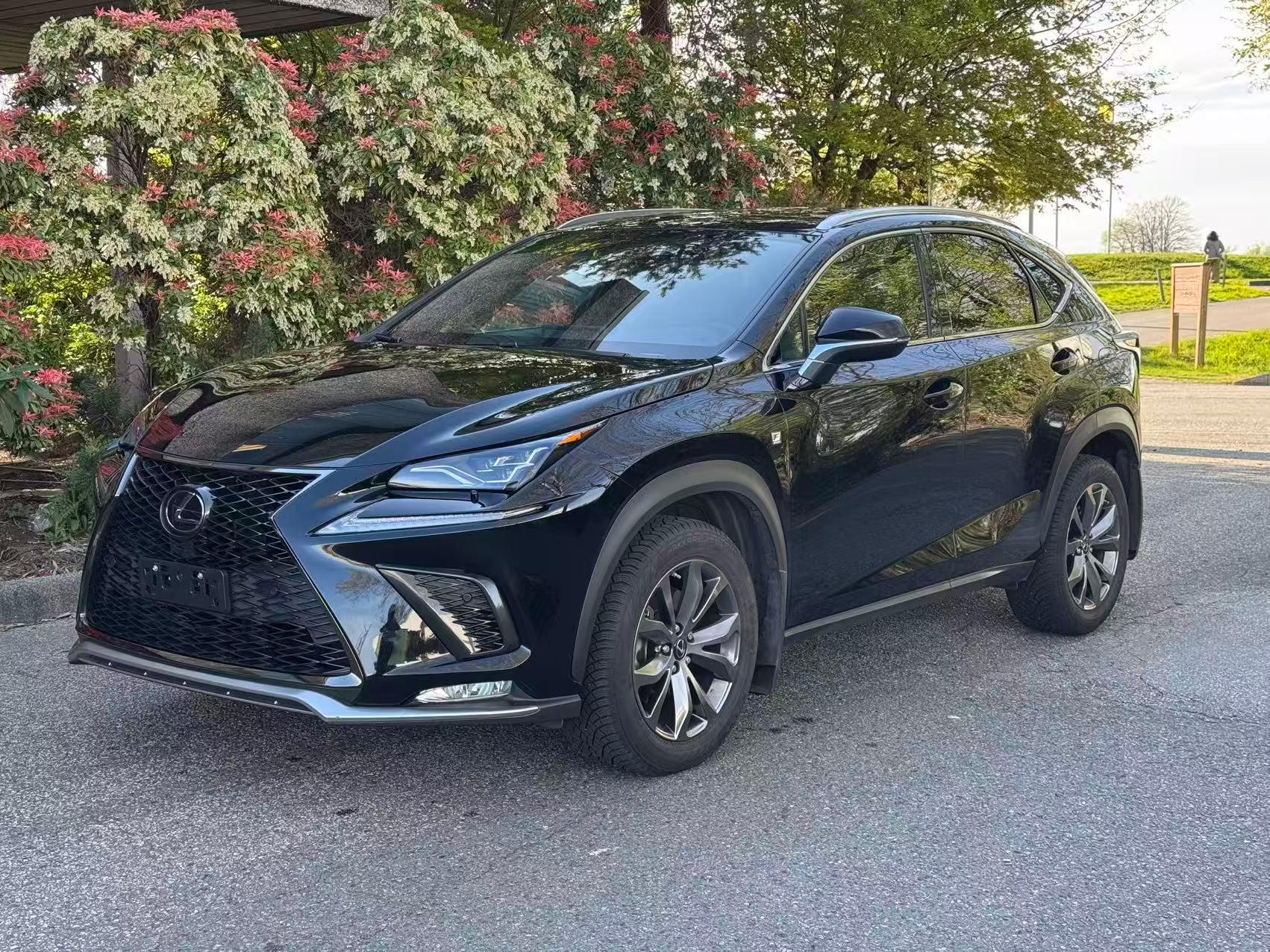Lexus NX 2020 à 