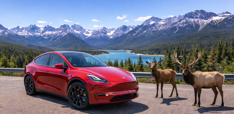 Tesla Model Y 2025