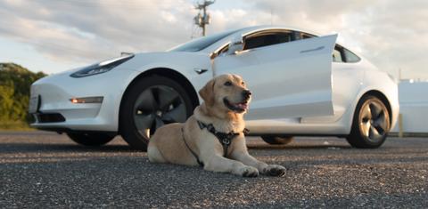 Tesla Model 3 2019