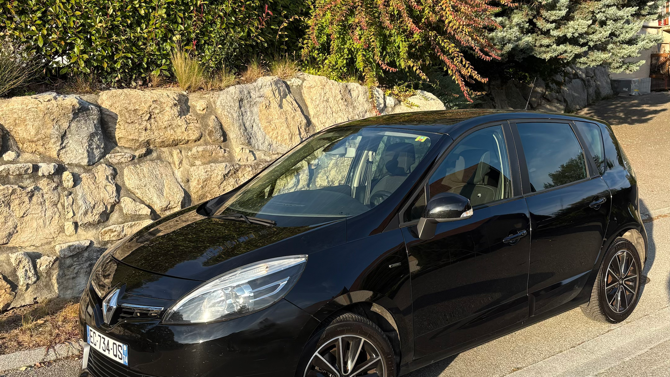 Renault SCENIC III 2016 à Valserhône